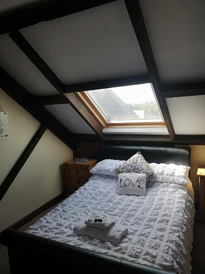 Red Lion Hotel Ystrad Meurig Esterno foto